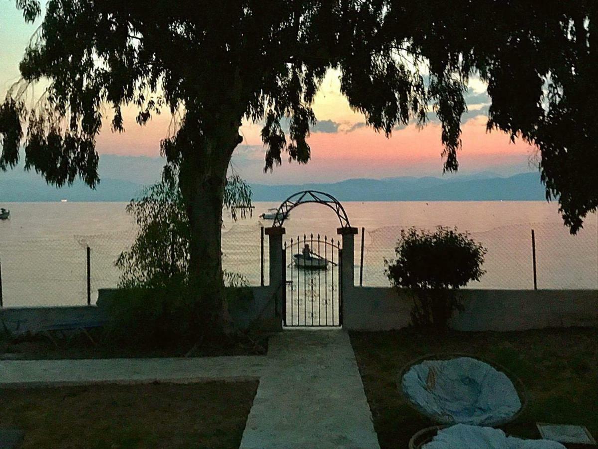 Lemami Seafront Kávos